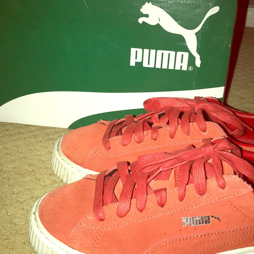 red puma creepers
